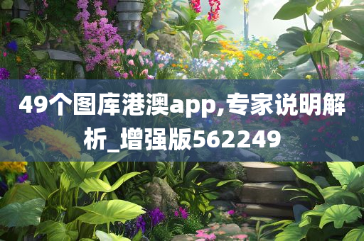 49个图库港澳app,专家说明解析_增强版562249