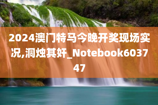 2024澳门特马今晚开奖现场实况,洞烛其奸_Notebook603747