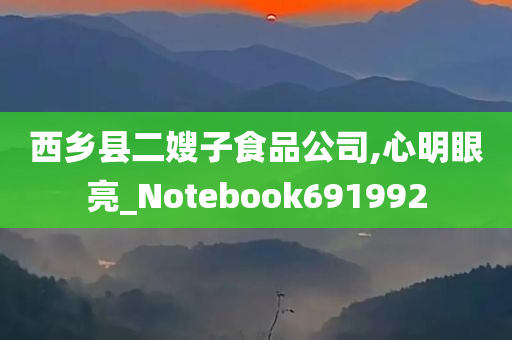 西乡县二嫂子食品公司,心明眼亮_Notebook691992