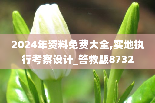 2024年资料免费大全,实地执行考察设计_答救版8732