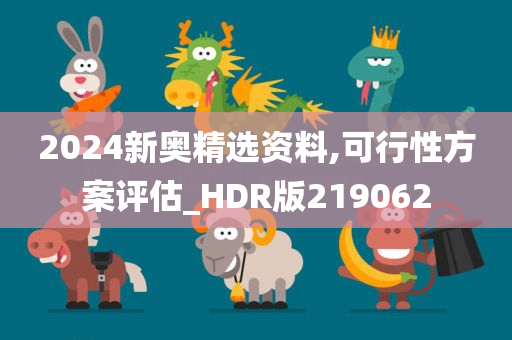 2024新奥精选资料,可行性方案评估_HDR版219062