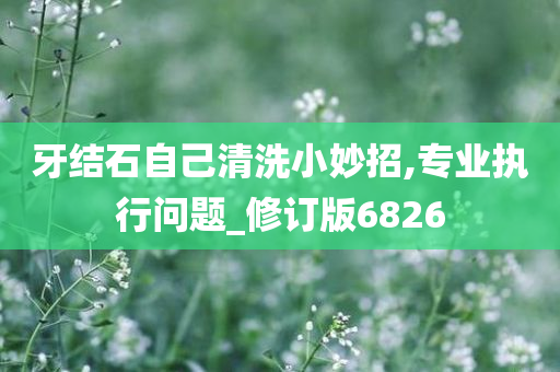 牙结石自己清洗小妙招,专业执行问题_修订版6826