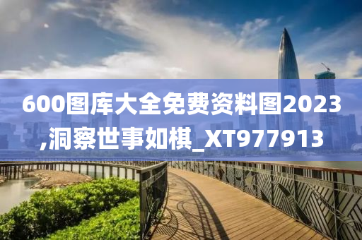 600图库大全免费资料图2023,洞察世事如棋_XT977913