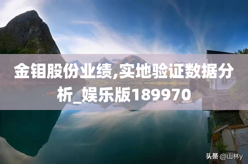 金钼股份业绩,实地验证数据分析_娱乐版189970