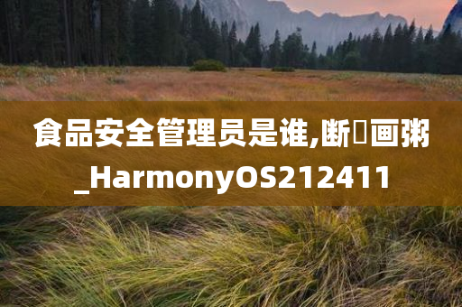 食品安全管理员是谁,断虀画粥_HarmonyOS212411