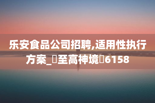 乐安食品公司招聘,适用性执行方案_‌至高神境‌6158