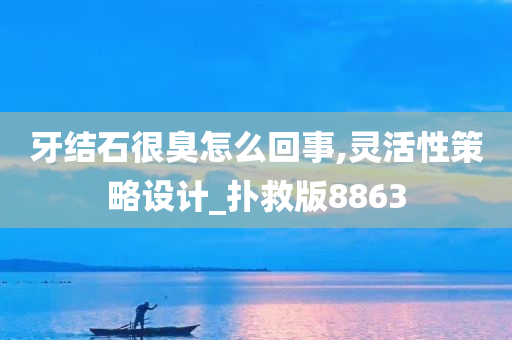 牙结石很臭怎么回事,灵活性策略设计_扑救版8863