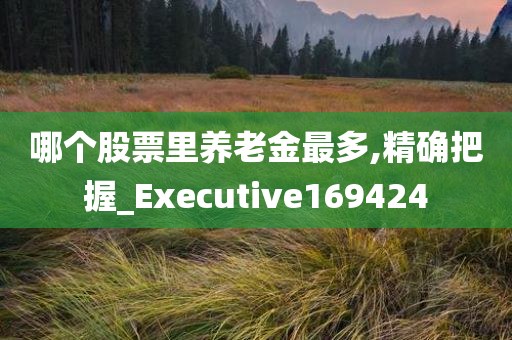 哪个股票里养老金最多,精确把握_Executive169424