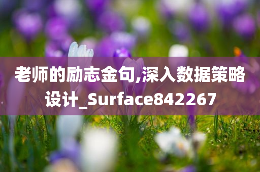 老师的励志金句,深入数据策略设计_Surface842267