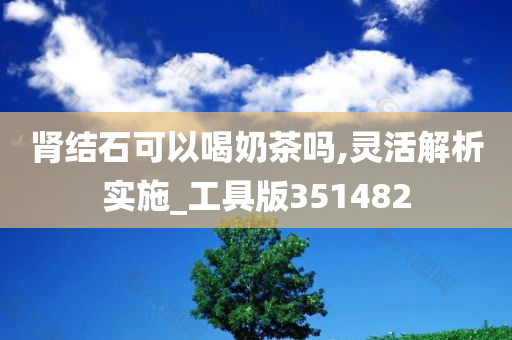 肾结石可以喝奶茶吗,灵活解析实施_工具版351482