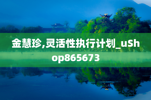 金慧珍,灵活性执行计划_uShop865673