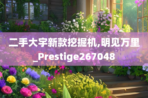 二手大宇新款挖掘机,明见万里_Prestige267048