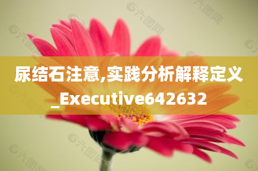 尿结石注意,实践分析解释定义_Executive642632