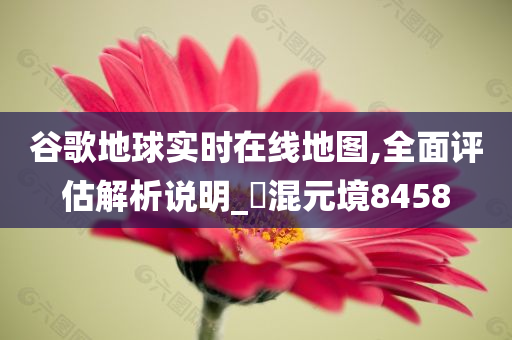 谷歌地球实时在线地图,全面评估解析说明_‌混元境8458