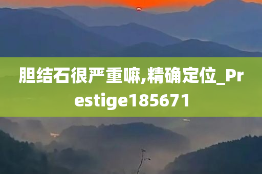 胆结石很严重嘛,精确定位_Prestige185671