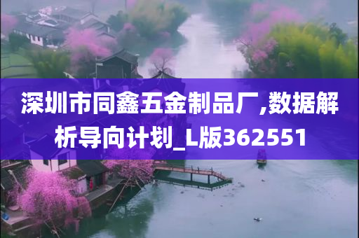 深圳市同鑫五金制品厂,数据解析导向计划_L版362551