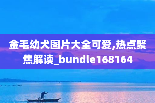 金毛幼犬图片大全可爱,热点聚焦解读_bundle168164