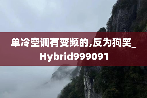 单冷空调有变频的,反为狗笑_Hybrid999091