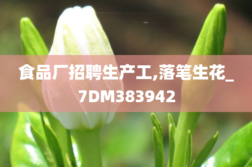 食品厂招聘生产工,落笔生花_7DM383942