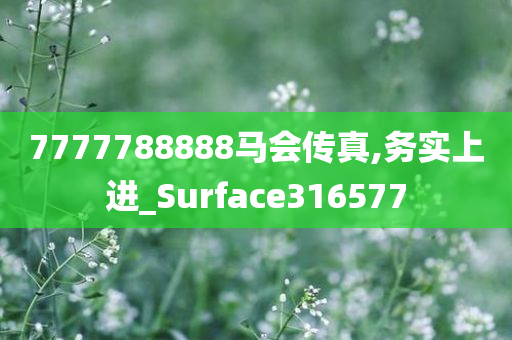 7777788888马会传真,务实上进_Surface316577