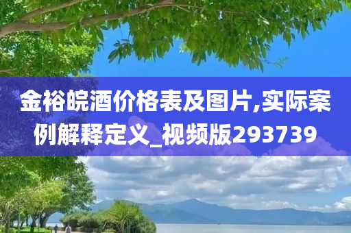 金裕皖酒价格表及图片,实际案例解释定义_视频版293739