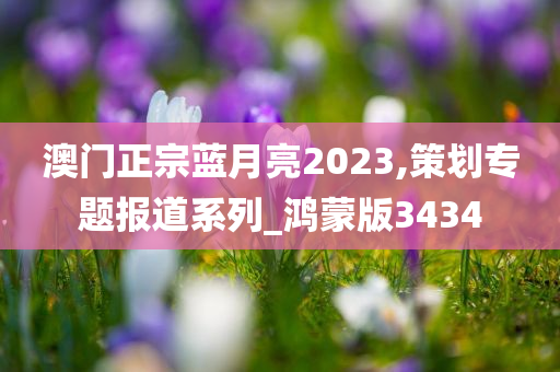 澳门正宗蓝月亮2023,策划专题报道系列_鸿蒙版3434