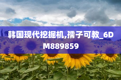 韩国现代挖掘机,孺子可教_6DM889859