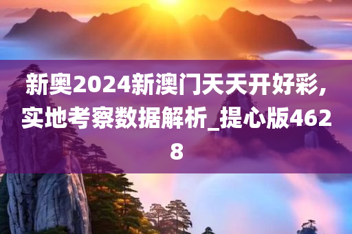 新奥2024新澳门天天开好彩,实地考察数据解析_提心版4628