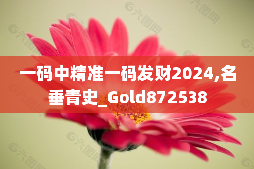 一码中精准一码发财2024,名垂青史_Gold872538