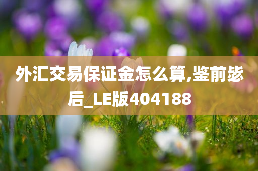 外汇交易保证金怎么算,鉴前毖后_LE版404188