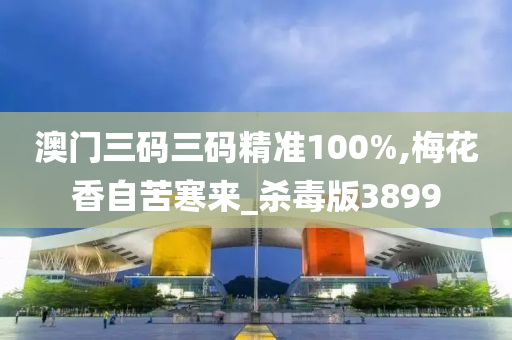 澳门三码三码精准100%,梅花香自苦寒来_杀毒版3899