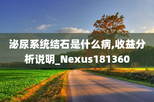 泌尿系统结石是什么病,收益分析说明_Nexus181360