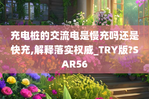 充电桩的交流电是慢充吗还是快充,解释落实权威_TRY版?SAR56