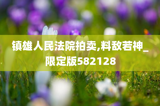 镇雄人民法院拍卖,料敌若神_限定版582128