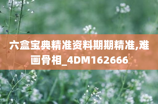 六盒宝典精准资料期期精准,难画骨相_4DM162666