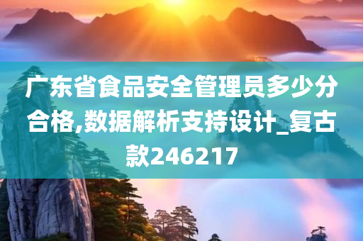 广东省食品安全管理员多少分合格,数据解析支持设计_复古款246217