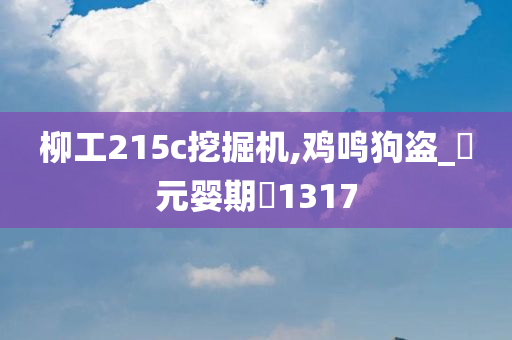 柳工215c挖掘机,鸡鸣狗盗_‌元婴期‌1317