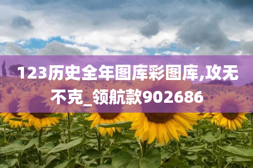 123历史全年图库彩图库,攻无不克_领航款902686