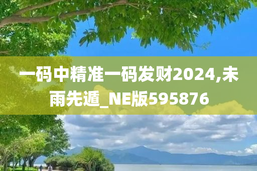 一码中精准一码发财2024,未雨先遁_NE版595876