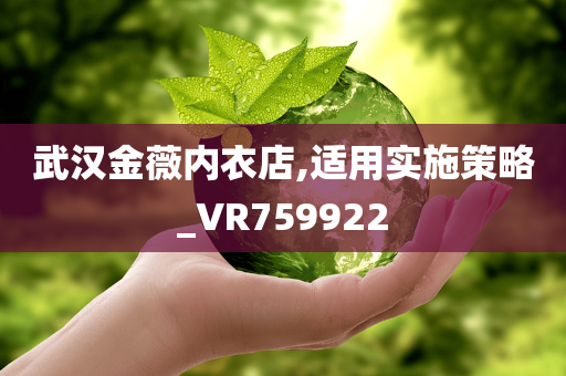 武汉金薇内衣店,适用实施策略_VR759922