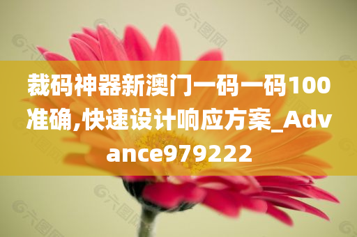 裁码神器新澳门一码一码100准确,快速设计响应方案_Advance979222