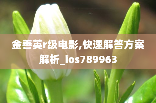 金善英r级电影,快速解答方案解析_ios789963