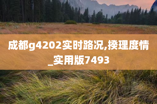 成都g4202实时路况,揆理度情_实用版7493