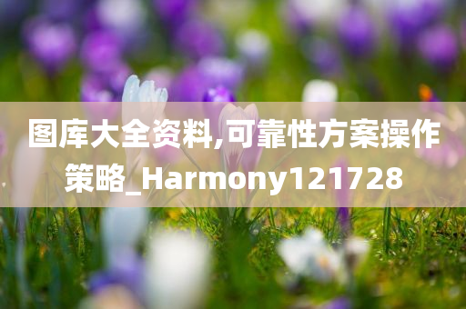 图库大全资料,可靠性方案操作策略_Harmony121728