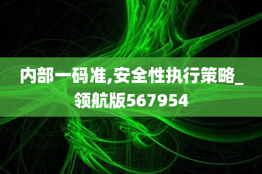 内部一码准,安全性执行策略_领航版567954