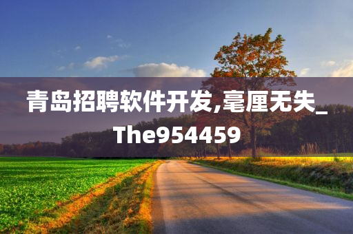 青岛招聘软件开发,毫厘无失_The954459