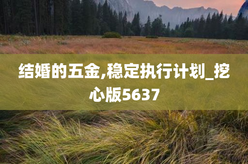 结婚的五金,稳定执行计划_挖心版5637