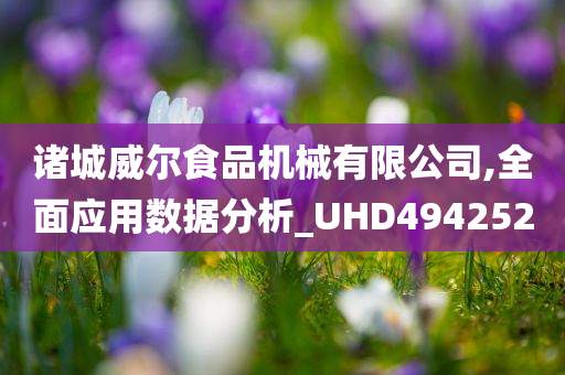 诸城威尔食品机械有限公司,全面应用数据分析_UHD494252