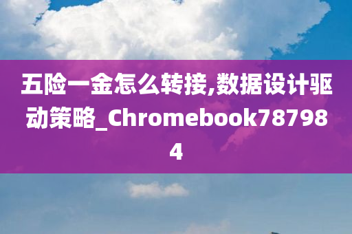 五险一金怎么转接,数据设计驱动策略_Chromebook787984