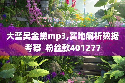 大蓝吴金黛mp3,实地解析数据考察_粉丝款401277